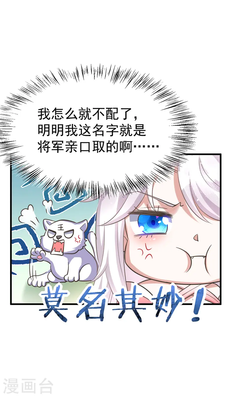萌虎重生将军大人要抱抱免费下载漫画,第4话 再见人不识1图