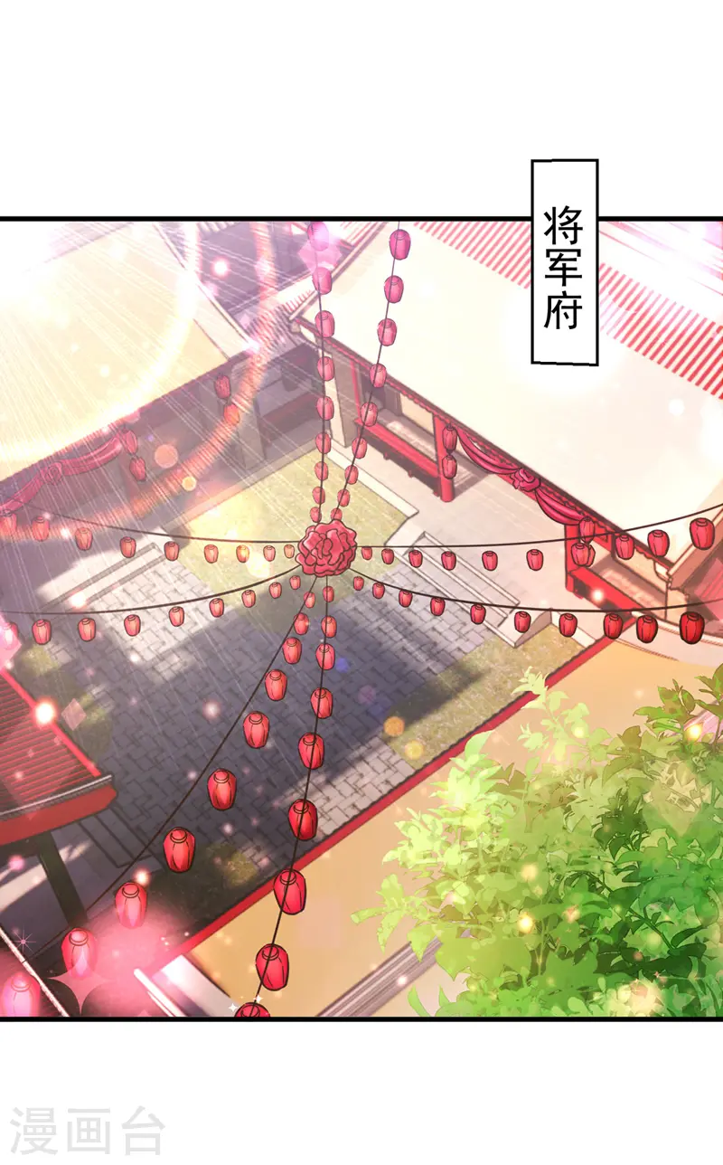 萌虎重生将军大人要抱抱免费下载漫画,第4话 再见人不识1图