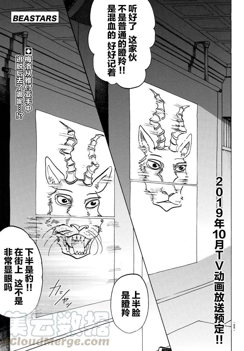 BEASTARS 动物狂想曲漫画,126 恶魔的祈祷，听说是不祥的预兆1图