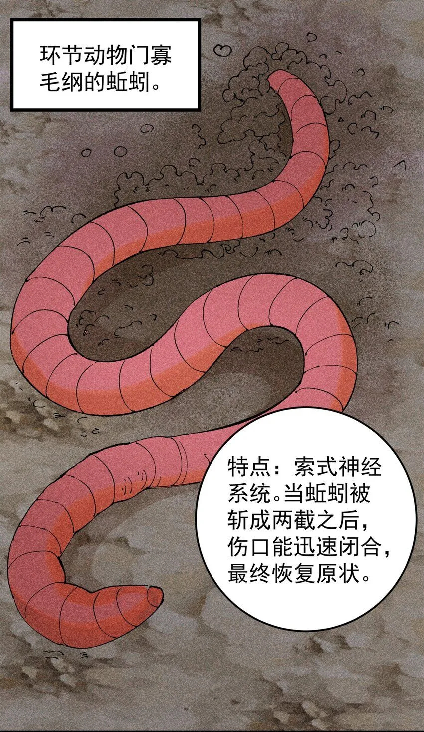 玩家凶猛漫画,93 化身苏珊大妈1图