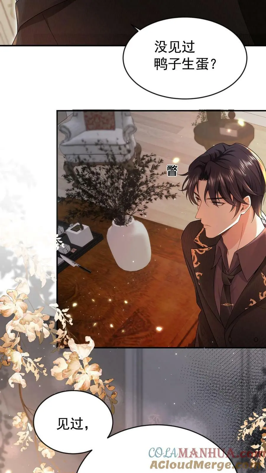 揉碎温柔小说简介漫画,第15话 非我不嫁？1图