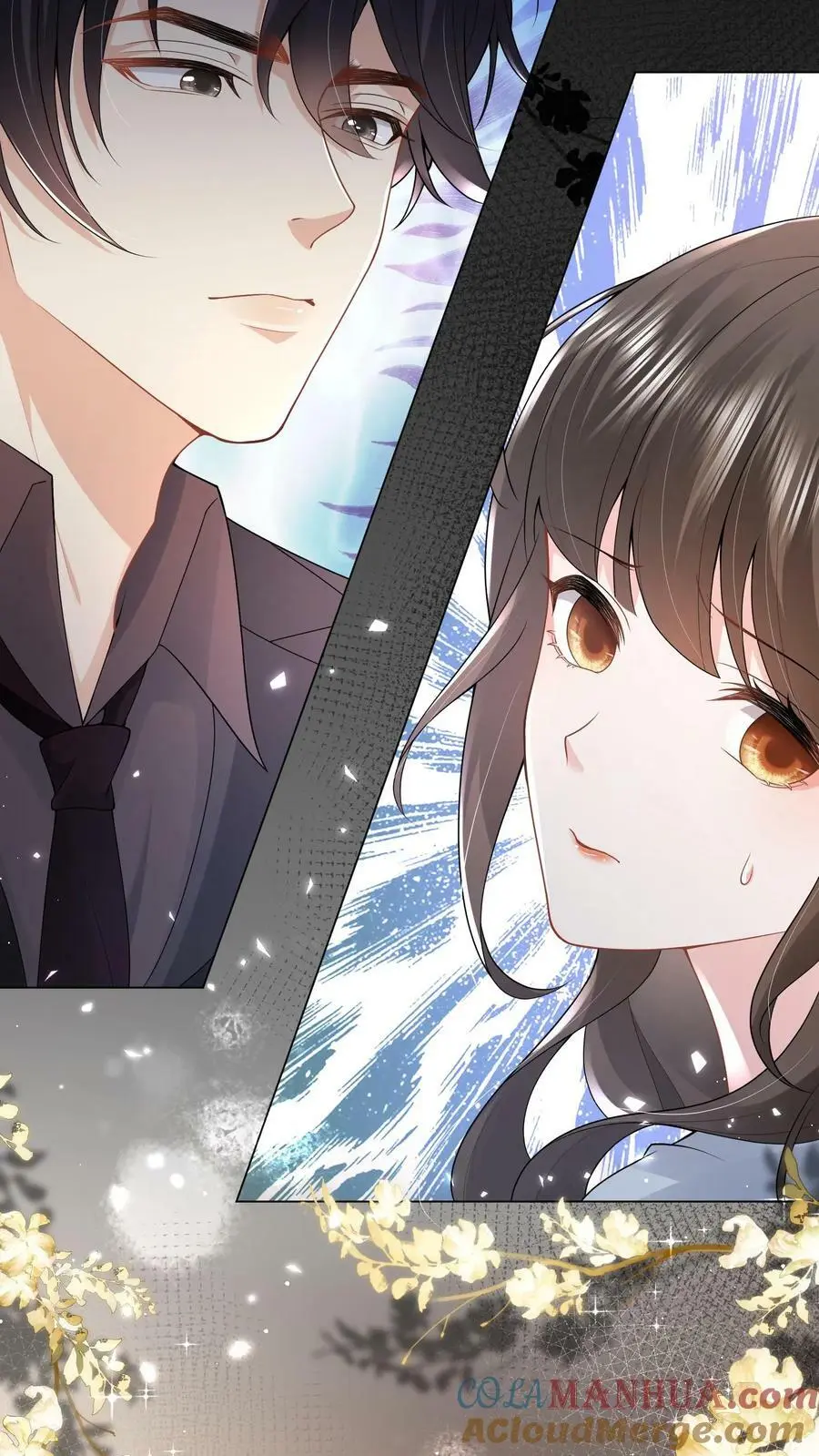 揉碎温柔小说简介漫画,第15话 非我不嫁？1图