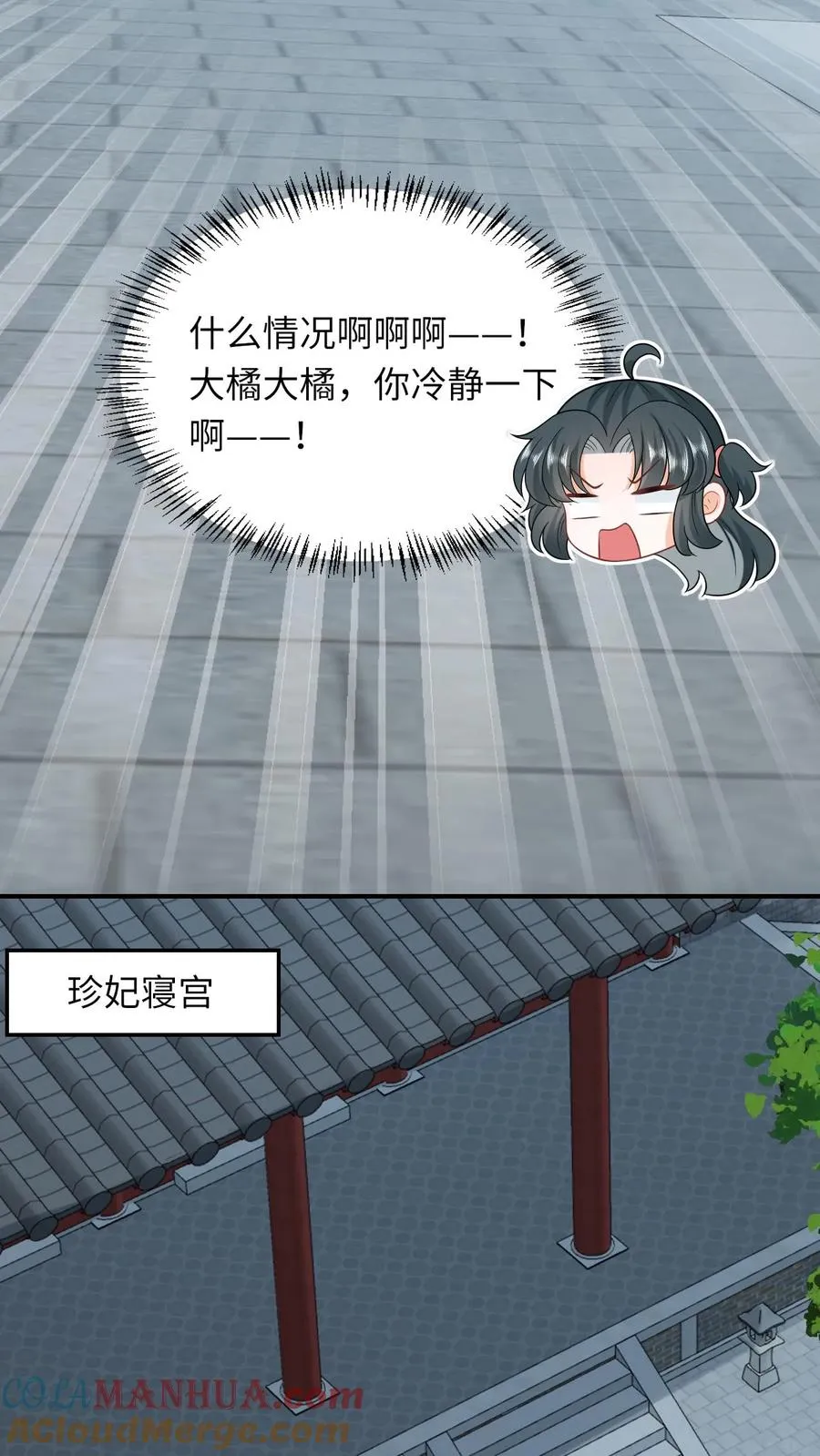 我出钱你出力我们一起神经病漫画,第113话 脱离掌控的大橘1图