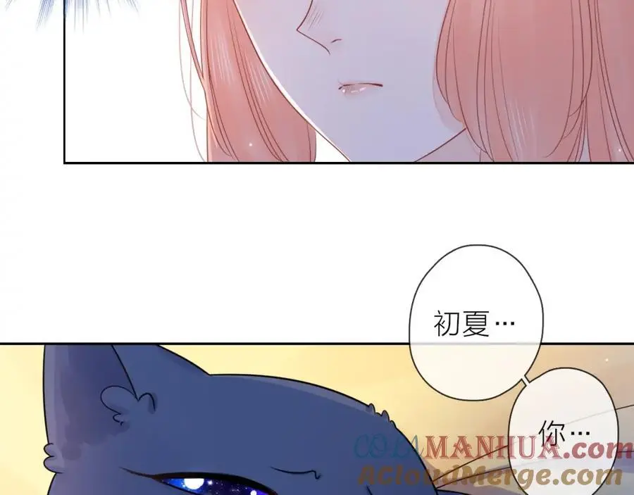只做你的猫漫画,第35话 逃离1图