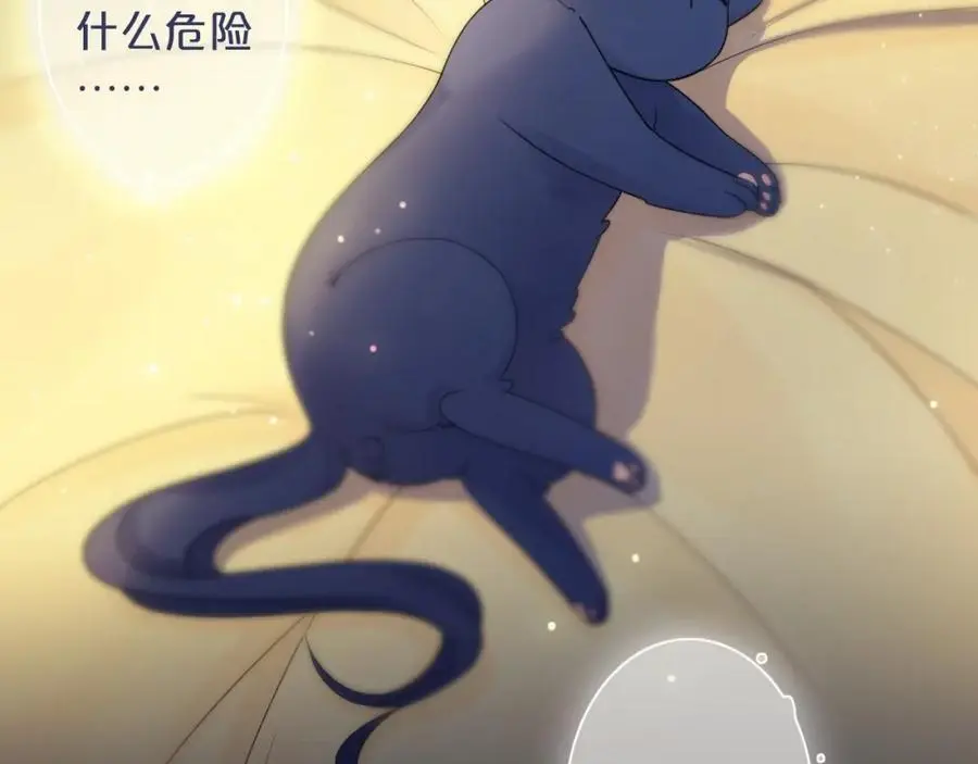 只做你的猫漫画,第35话 逃离2图