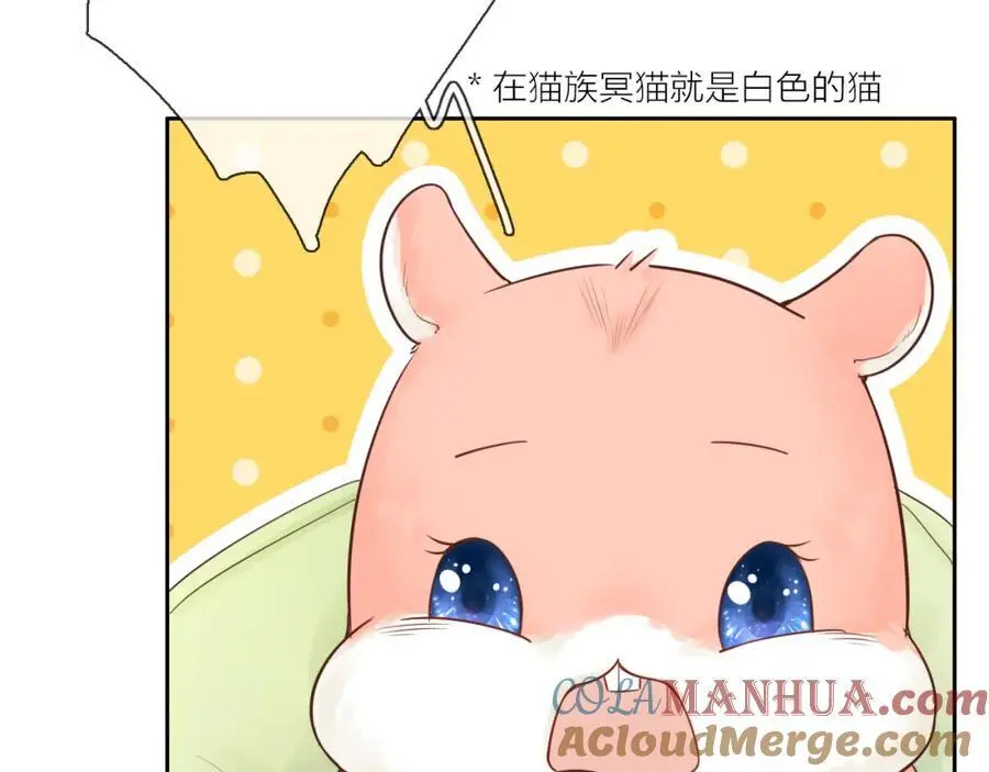 只做你的猫星海和初夏漫画,第17话 带我走1图
