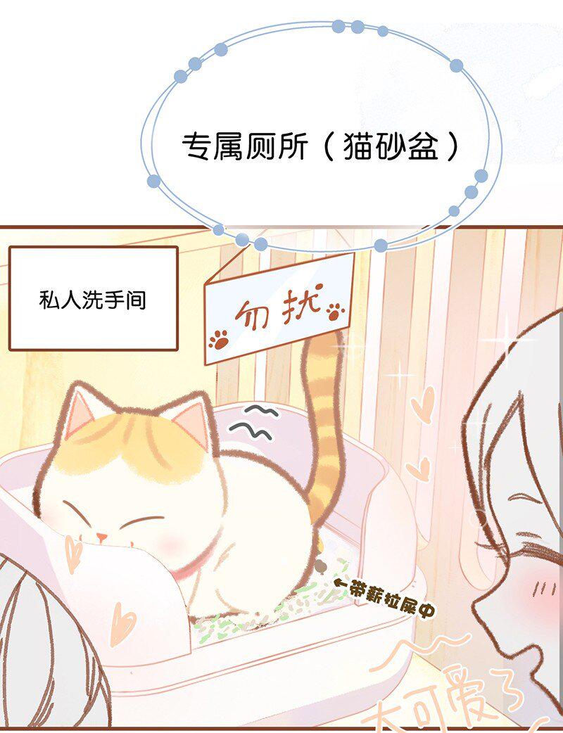 喵铃铛盲盒多少钱漫画,楔子 喵？1图