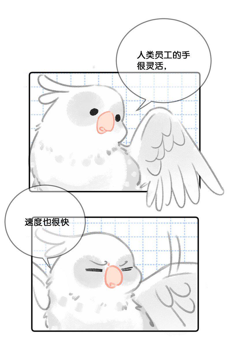 苗岭漫画,32 橘总对职场菜鸟的暖心鼓励2图