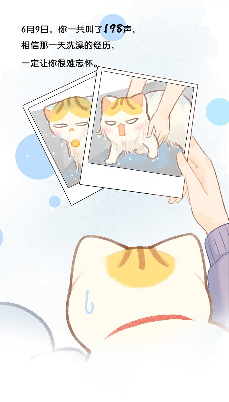 喵铃铛漫画,21 大橘的年终总结报告2图