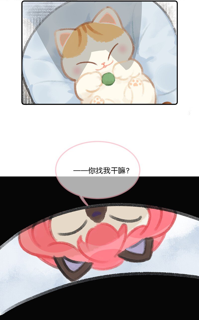 喵喵喵小宝贝漫画,04 楼上的女装大佬？！2图