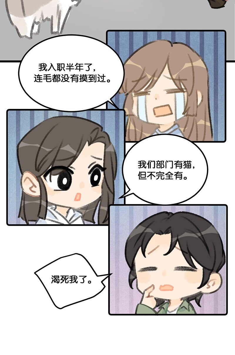 喵宁酱漫画,37 这个杀手——有点冷！1图