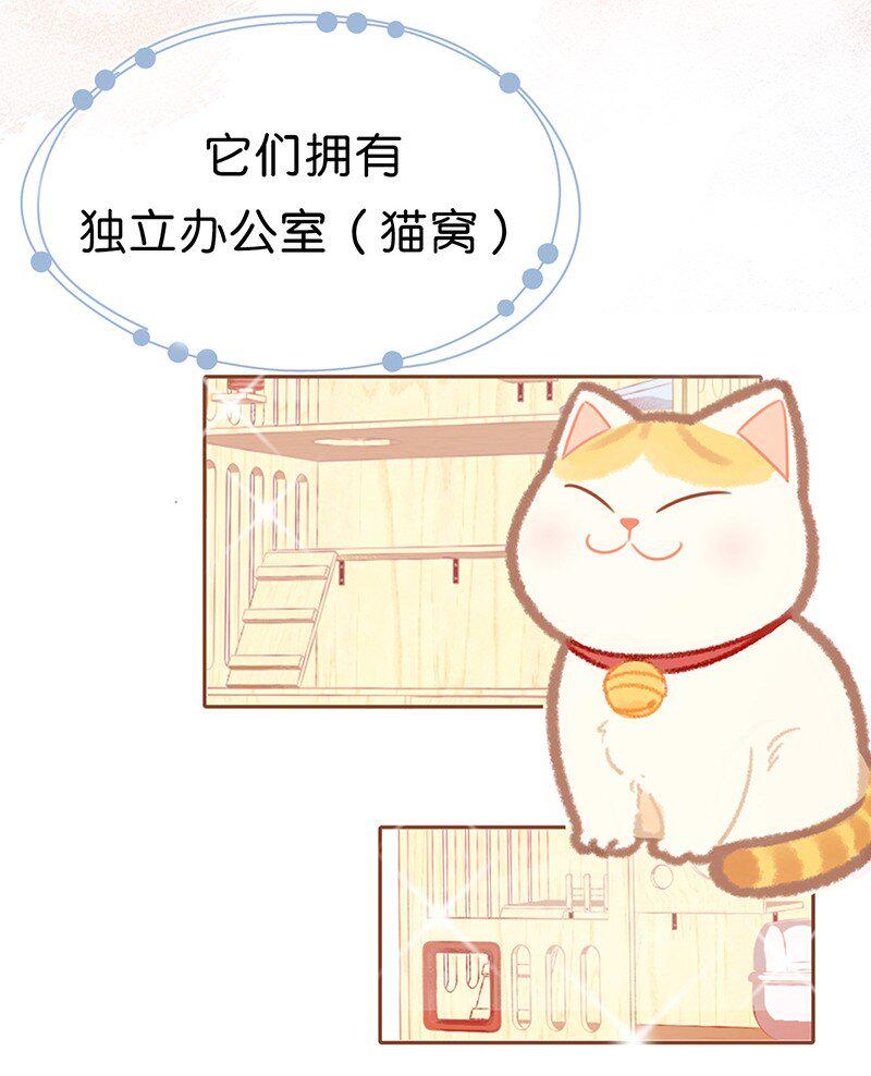 喵铃铛宠物食品有限公司漫画,楔子 喵？2图