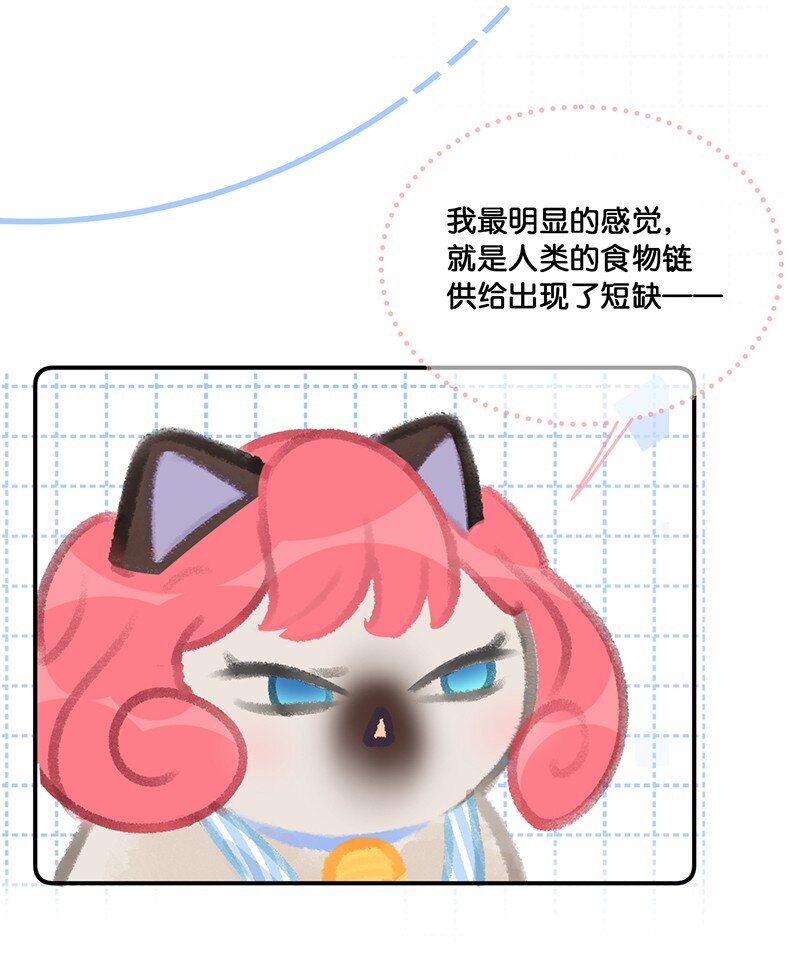 喵铃铛 猫先生之家宁波漫画,20 神秘的十一和十二月2图