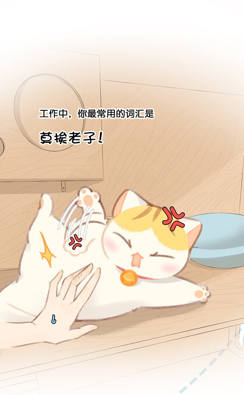喵铃铛漫画,21 大橘的年终总结报告2图