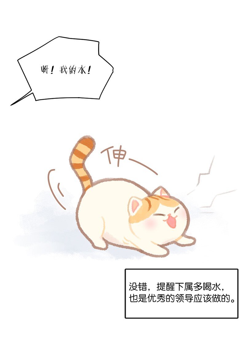 苗岭漫画,02 高管喵的日常1图