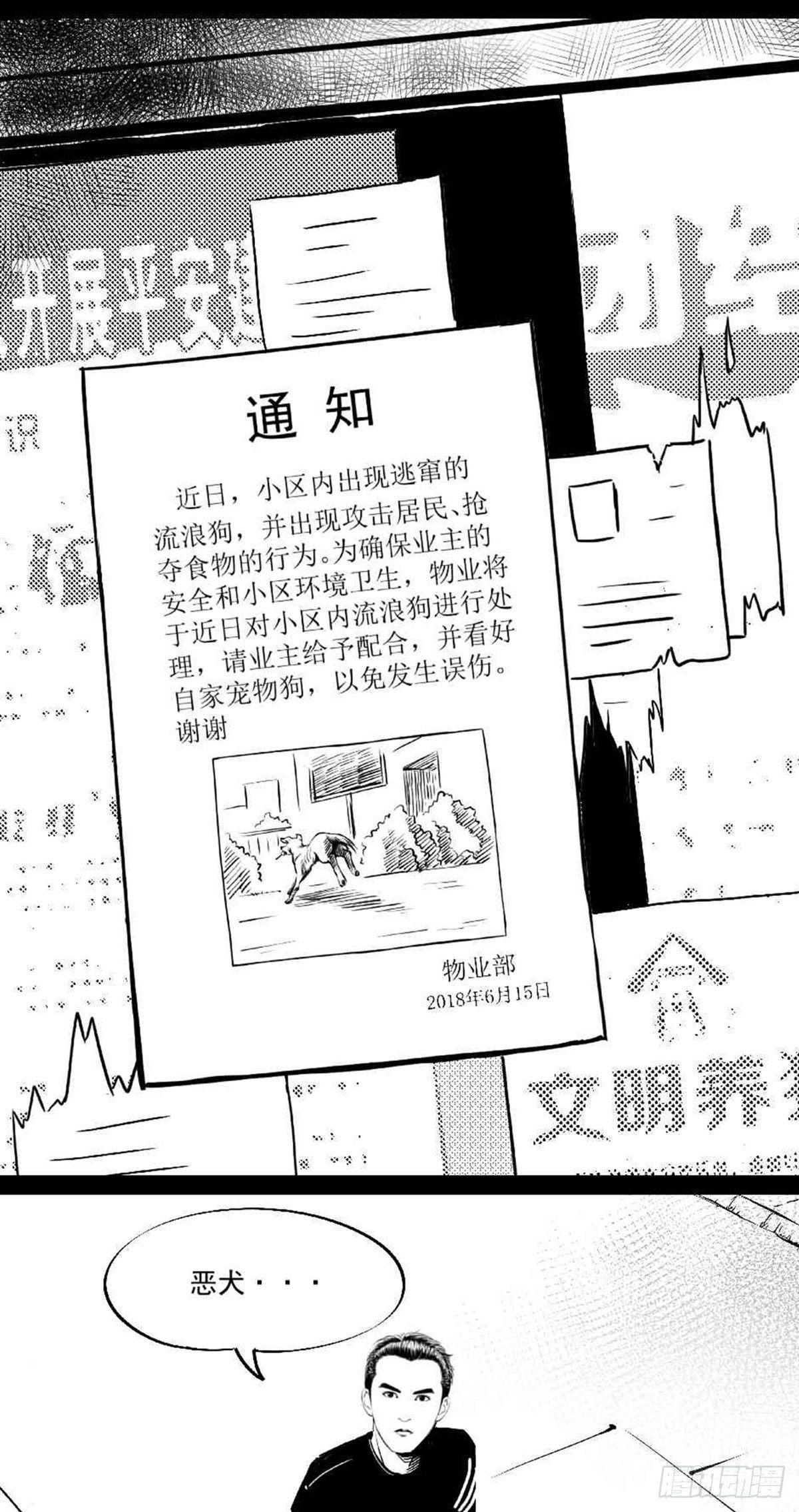 夜行犬漫画,为抢根骨头我坐轮椅追了四条街1图