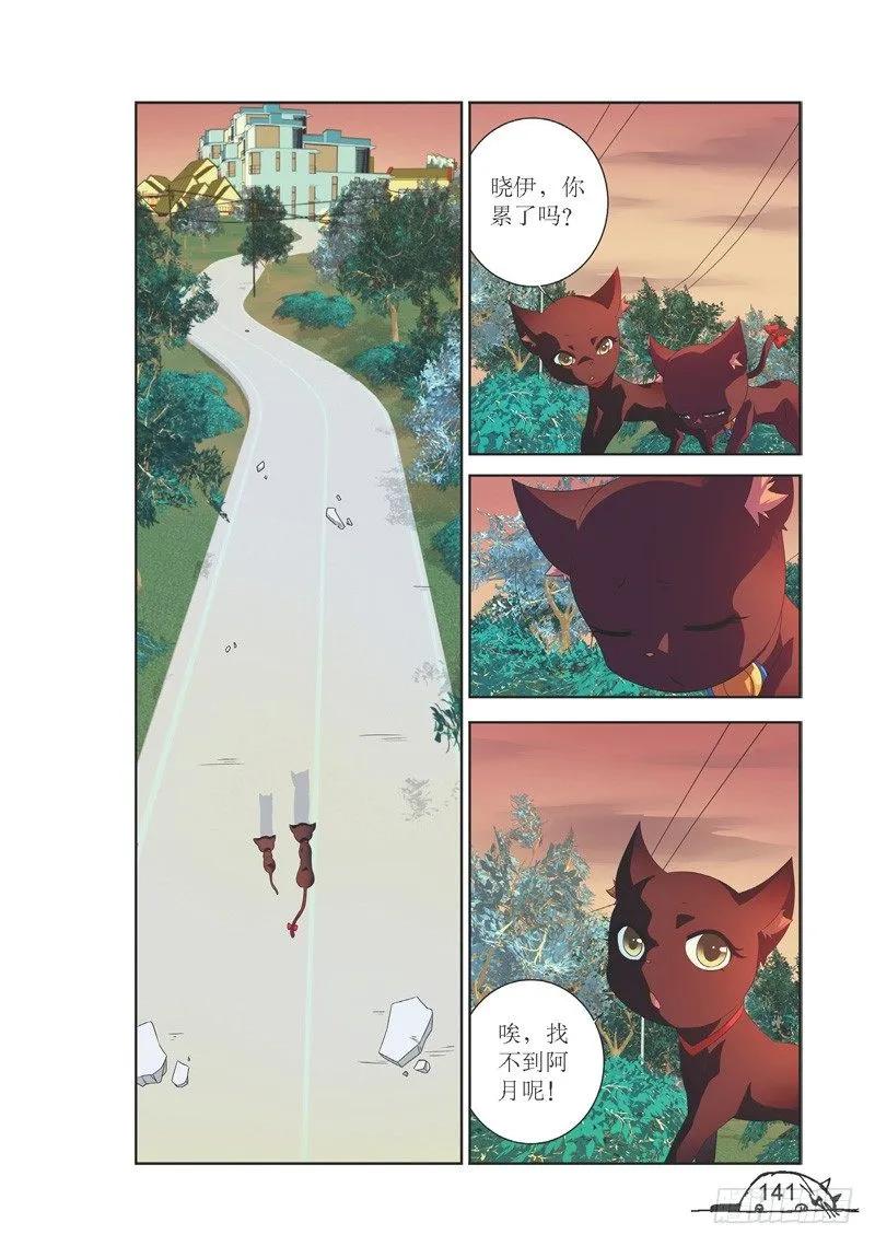 猫妖的诱惑漫画版免费漫画,第144话2图