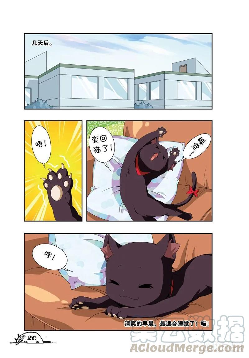 猫的诱惑漫画版第二季漫画,第20话1图