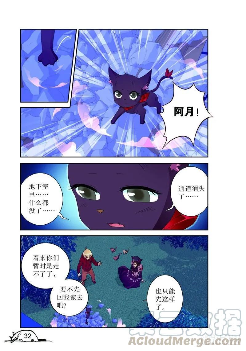 猫的诱惑漫画版免费在哪看漫画,第166话1图