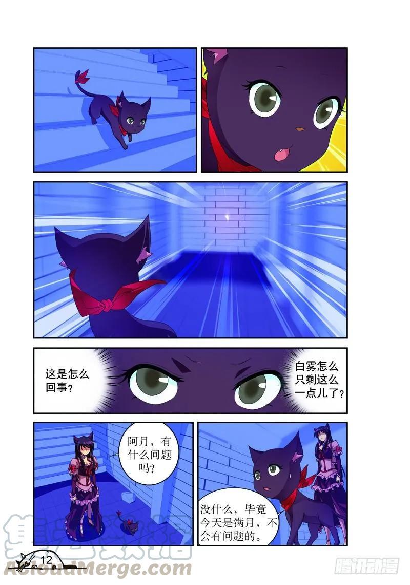 猫的诱惑漫画在哪看漫画,第164话1图