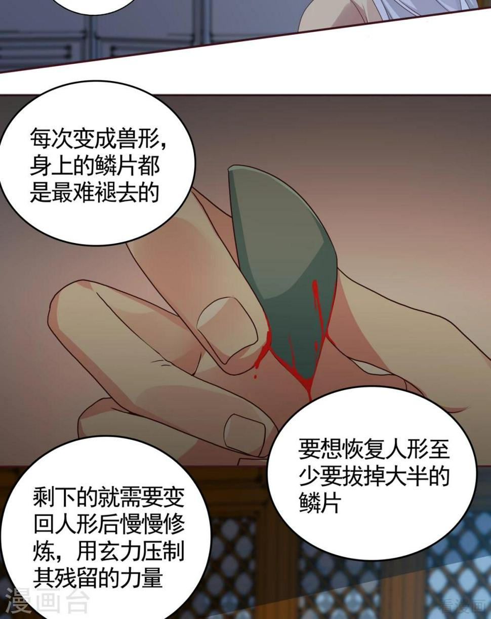 神医毒妃太嚣张免费下拉式漫画漫画,第135话 谢谢你的理解1图