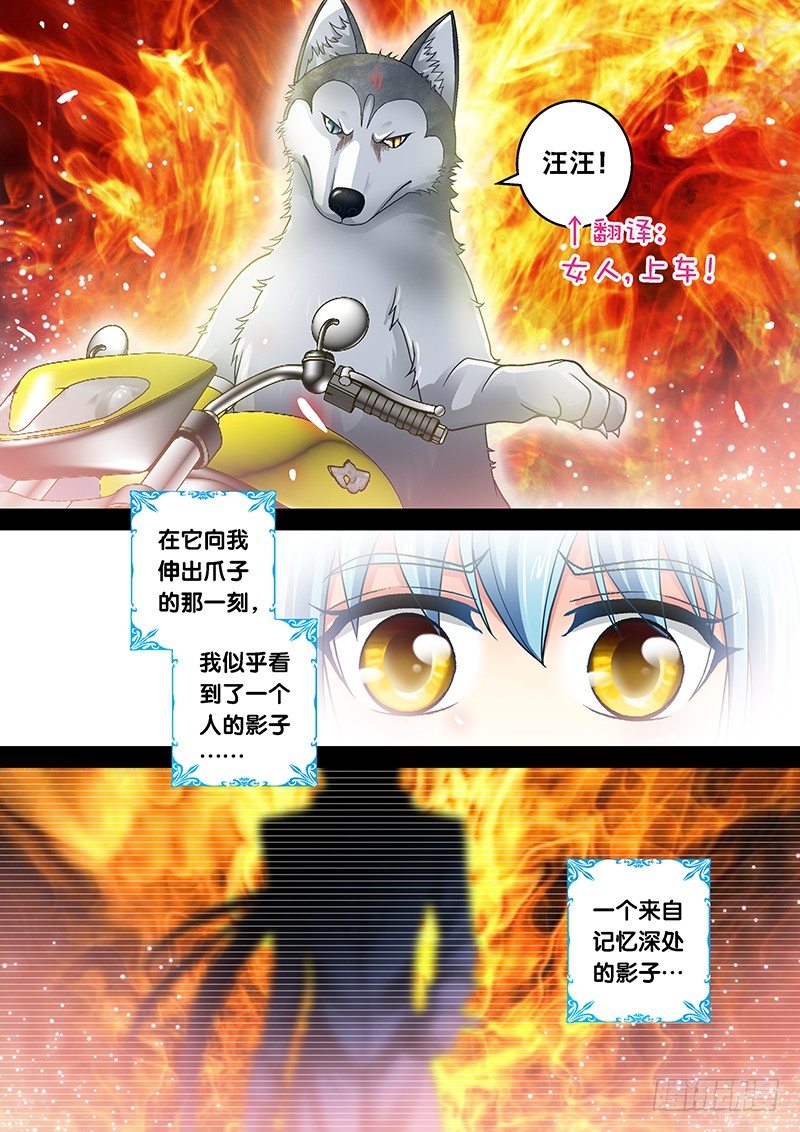 玉医玄九天漫画人物漫画,007-4 飞舞吧！坦克2图