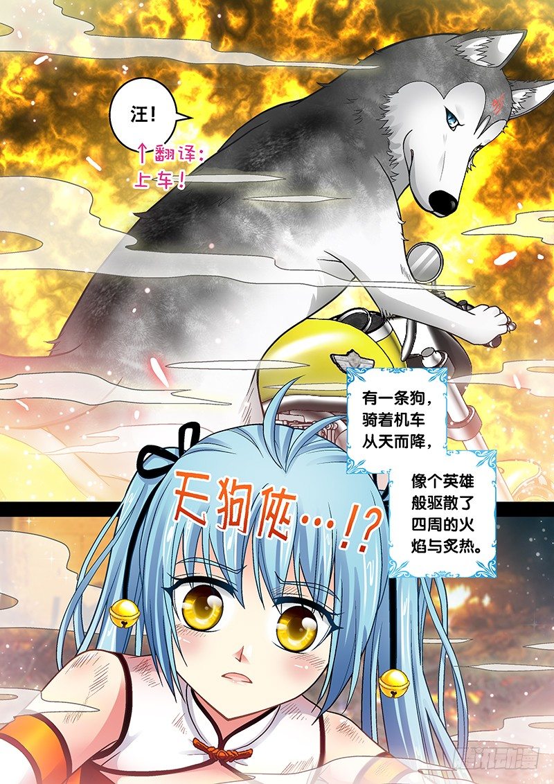 玉医不舍漫画,007-4 飞舞吧！坦克2图