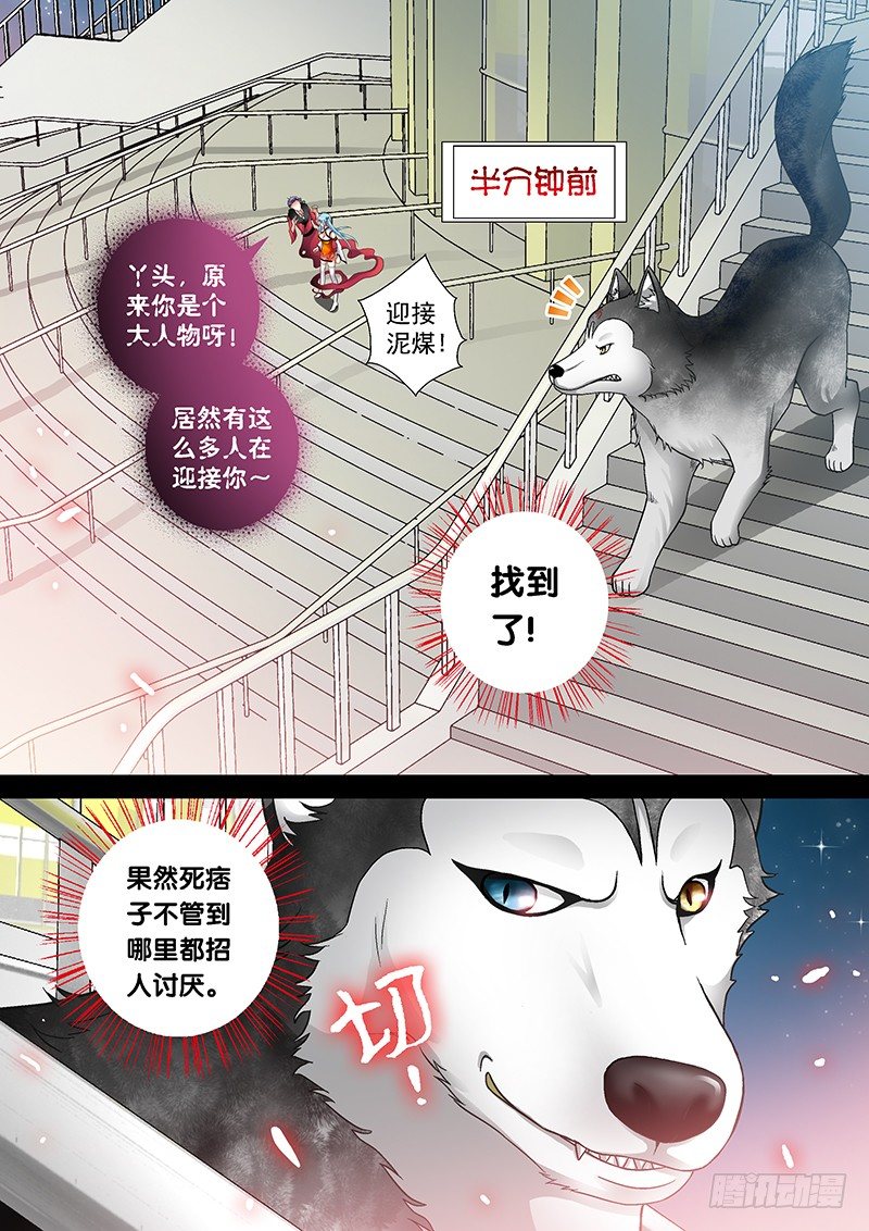 玉医玄九天漫画免费阅读漫画,007-4 飞舞吧！坦克1图