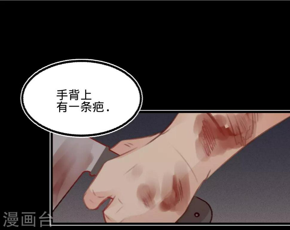 凤还朝，妖孽王爷请让道漫画,第55话目击证人1图
