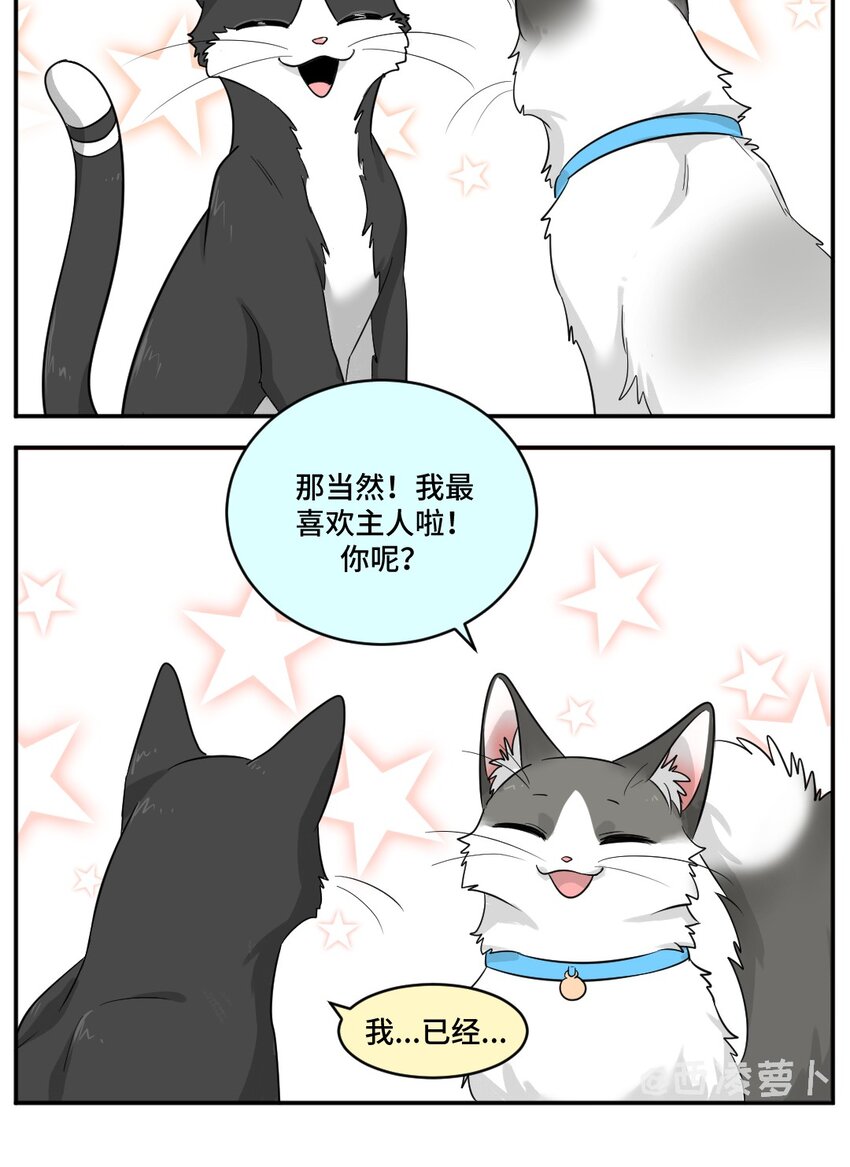 芝麻与米糕漫画,002 第二话 我已经没有主人了。1图