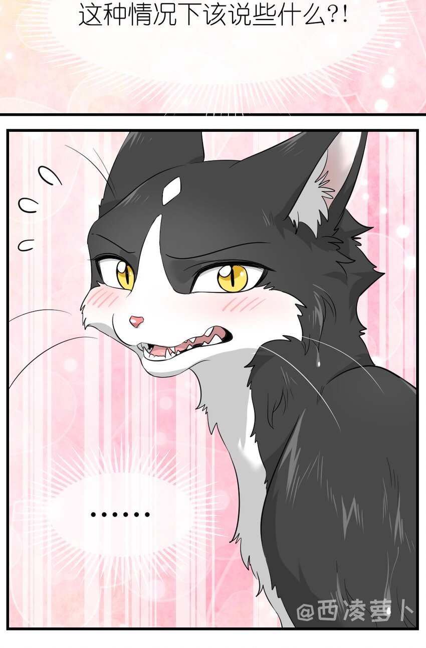 芝麻与米糕漫画,006 一起洗澡呀~2图