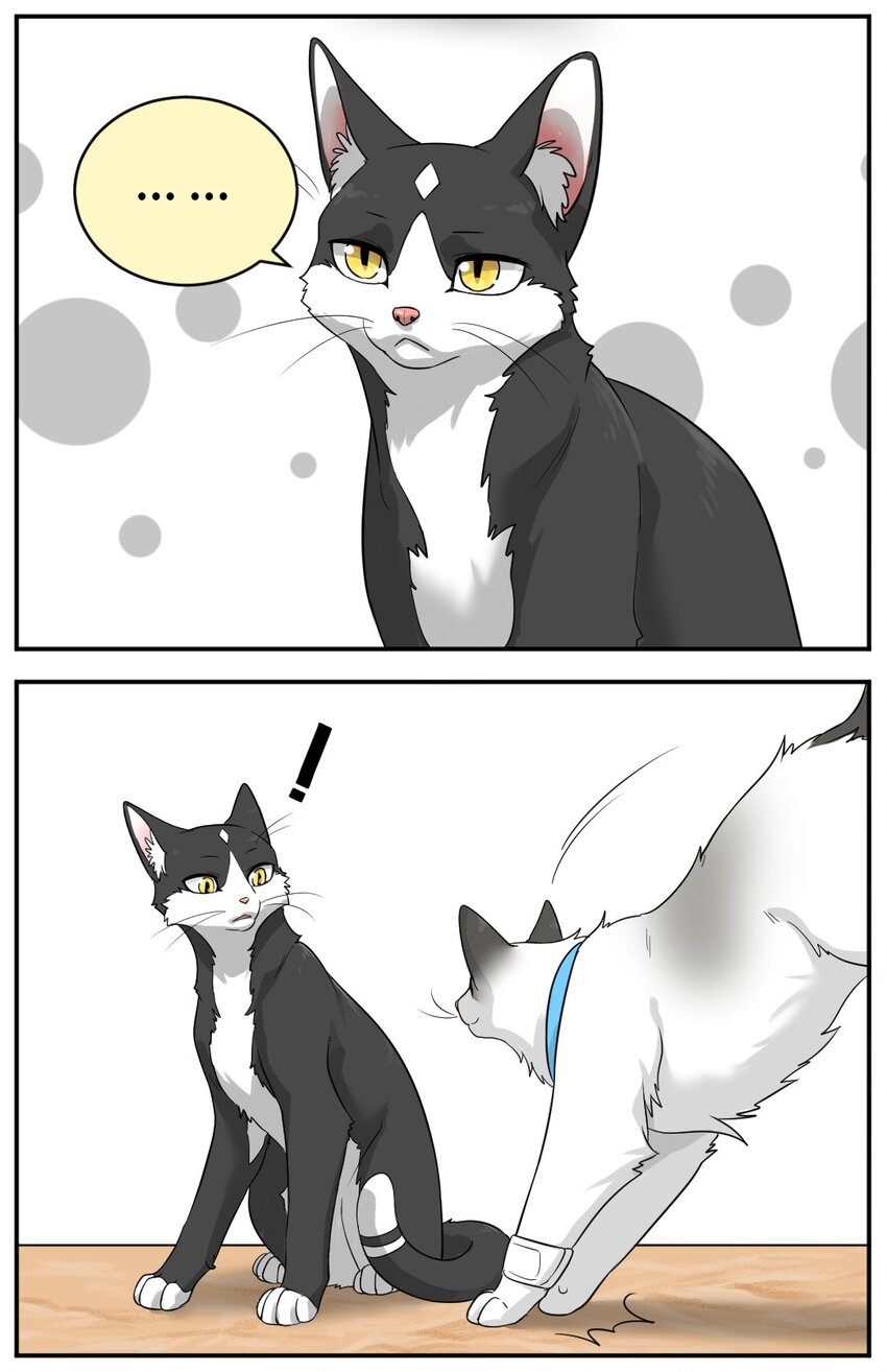 芝麻与米糕漫画,002 第二话 我已经没有主人了。1图