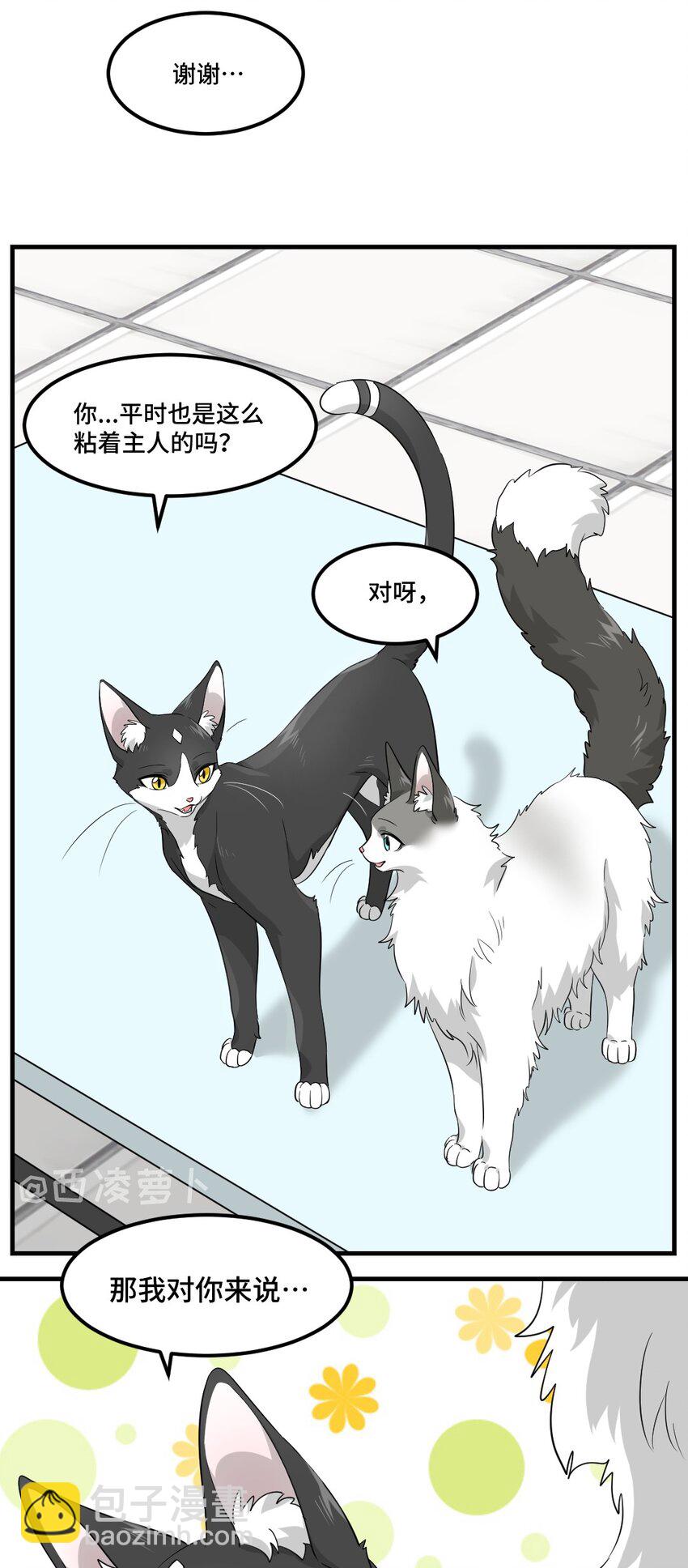 芝麻与米糕漫画,006 一起洗澡呀~2图