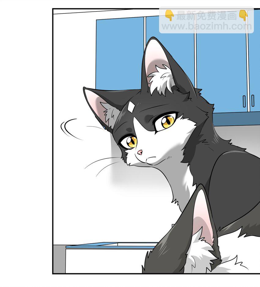芝麻与米糕漫画,007 怎么办……2图