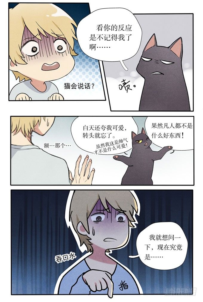 阳寿代表几年漫画,猫的报恩？2图