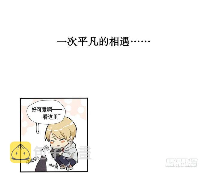 阳寿三个月快看漫画漫画,预告2图