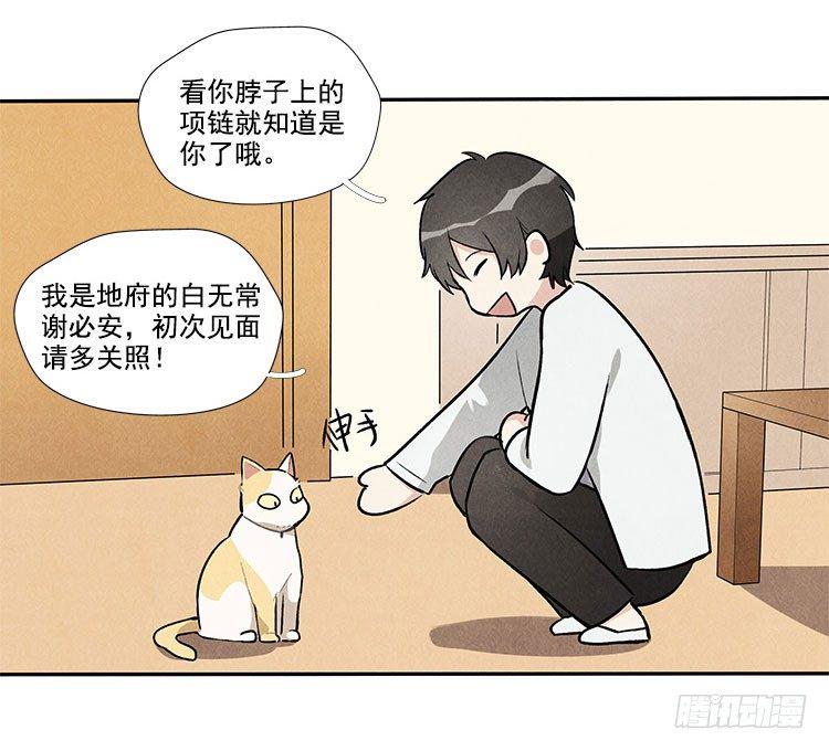 阳寿抽卡漫画,打扰2图