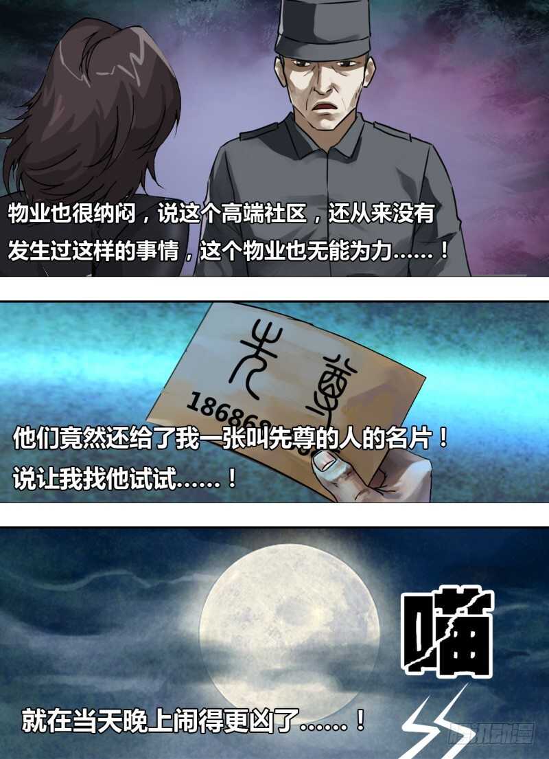 猎灵神医免费观看漫画,第二百四十一章物是人非2图