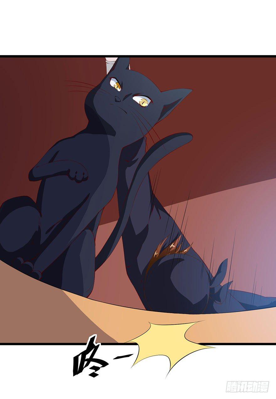猫陛下，万岁！漫画,046猫爪救美1图