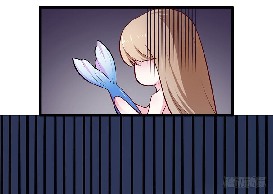 猫陛下日常推文漫画,002香气诱猫的美人鱼2图