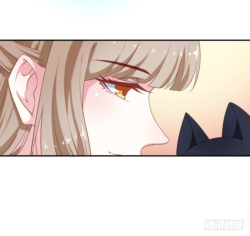 猫陛下，万岁！漫画,092救下的少年2图