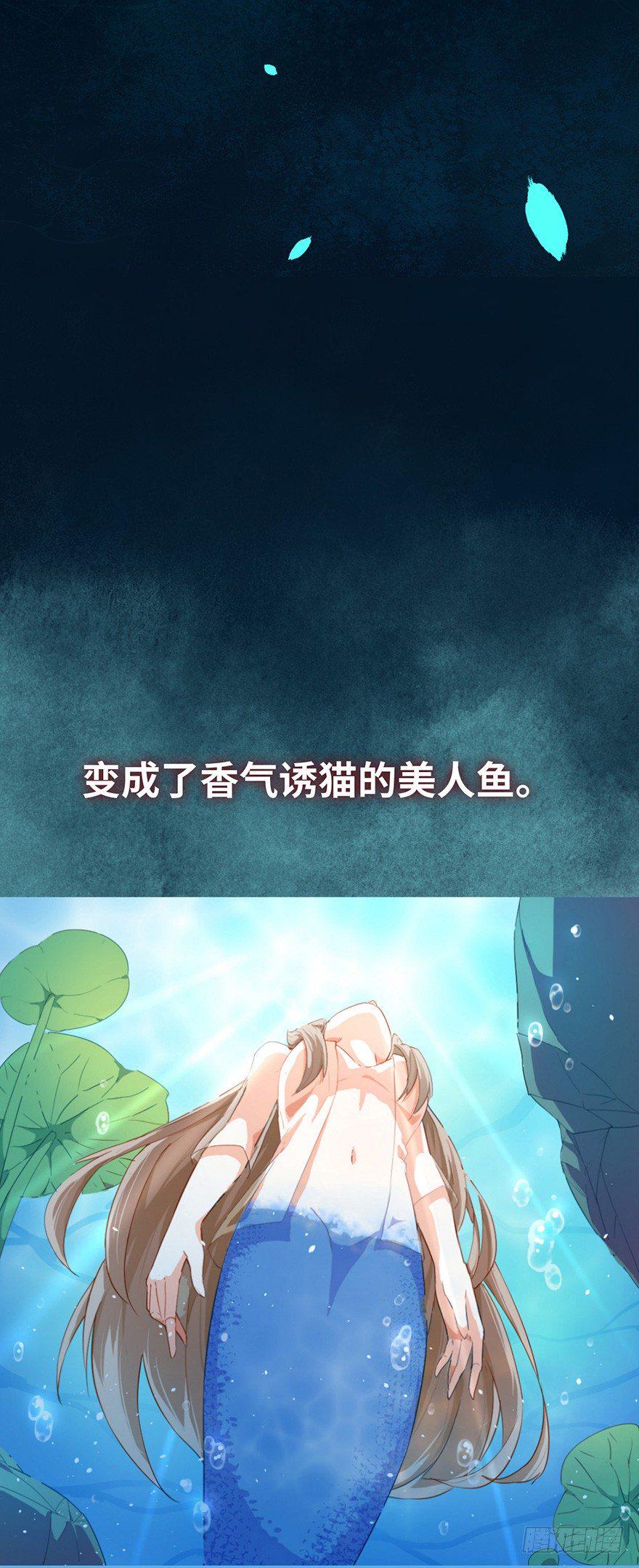 猫陛下，万岁！漫画,预告1图