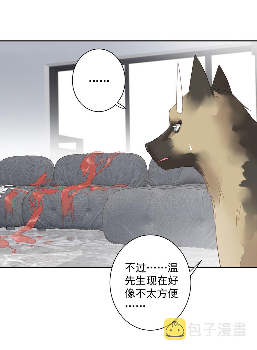 早期驯服大猫的珍贵资料漫画,058 黑背也化人了2图