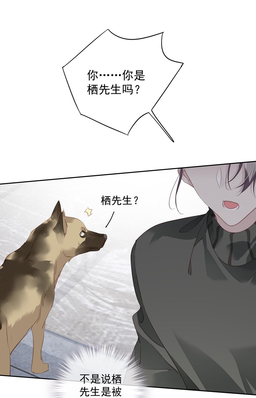 早期驯服大猫的珍贵资料漫画,058 黑背也化人了1图