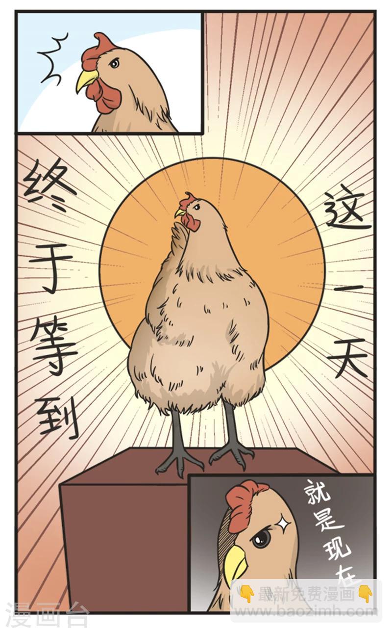 萌鬼到漫画,第210话 买鸡2图