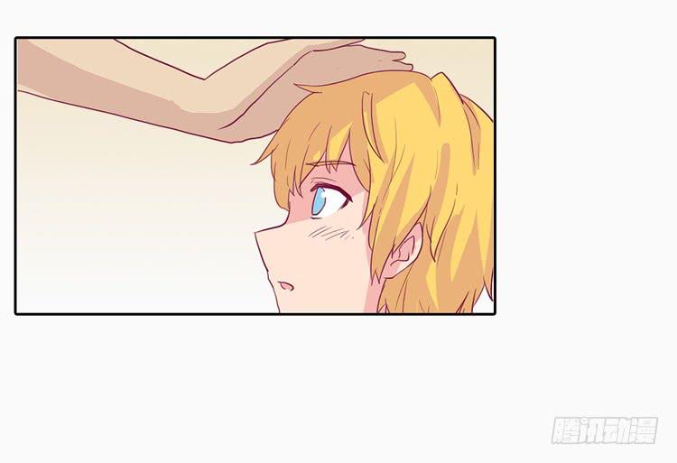 我与秋田漫画,他好像一条狗哎…2图
