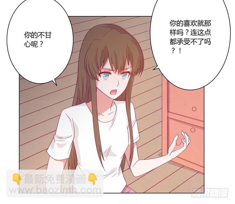 我与秋田漫画,紫色雏菊的花语1图