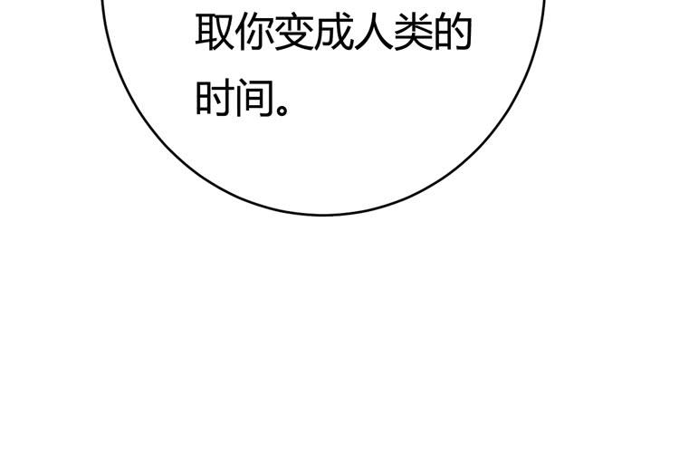 我与秋田漫画,愿望的代价1图