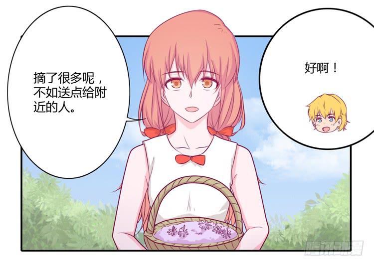 我与秋田漫画,拉近距离大作战2图