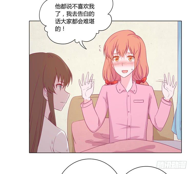 我与秋田漫画,紫色雏菊的花语1图